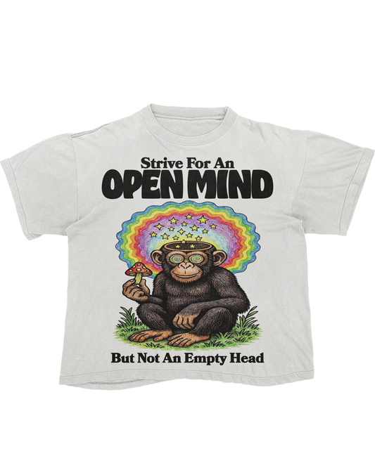 Exploring Consciousness