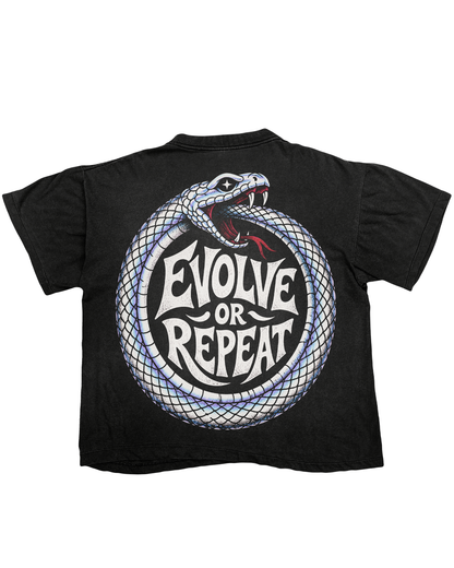 Evolve or Repeat