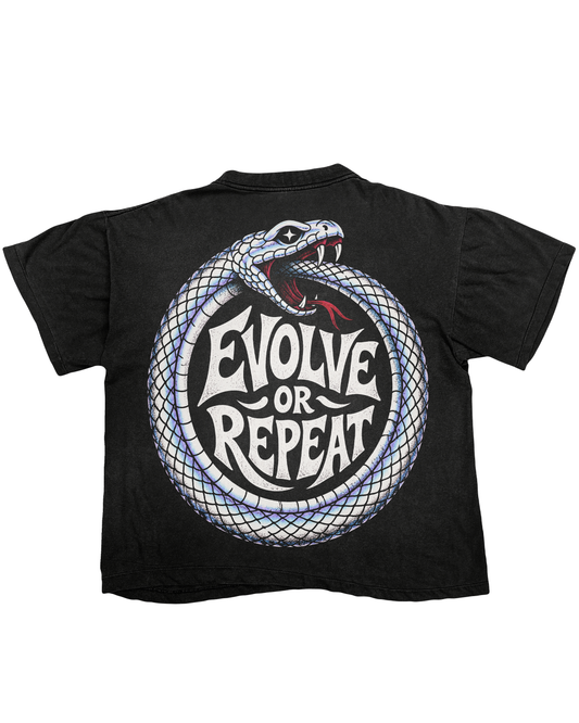 Evolve or Repeat